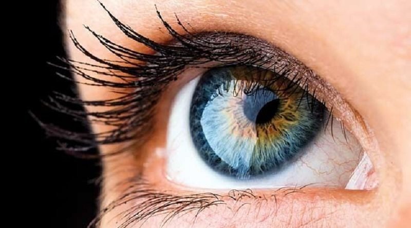 ಅಪ್ಪುವಿನ 2 ನಕ್ಷತ್ರ ಮತ್ತಿಬ್ಬರಿಗೆ ಬೆಳಕು