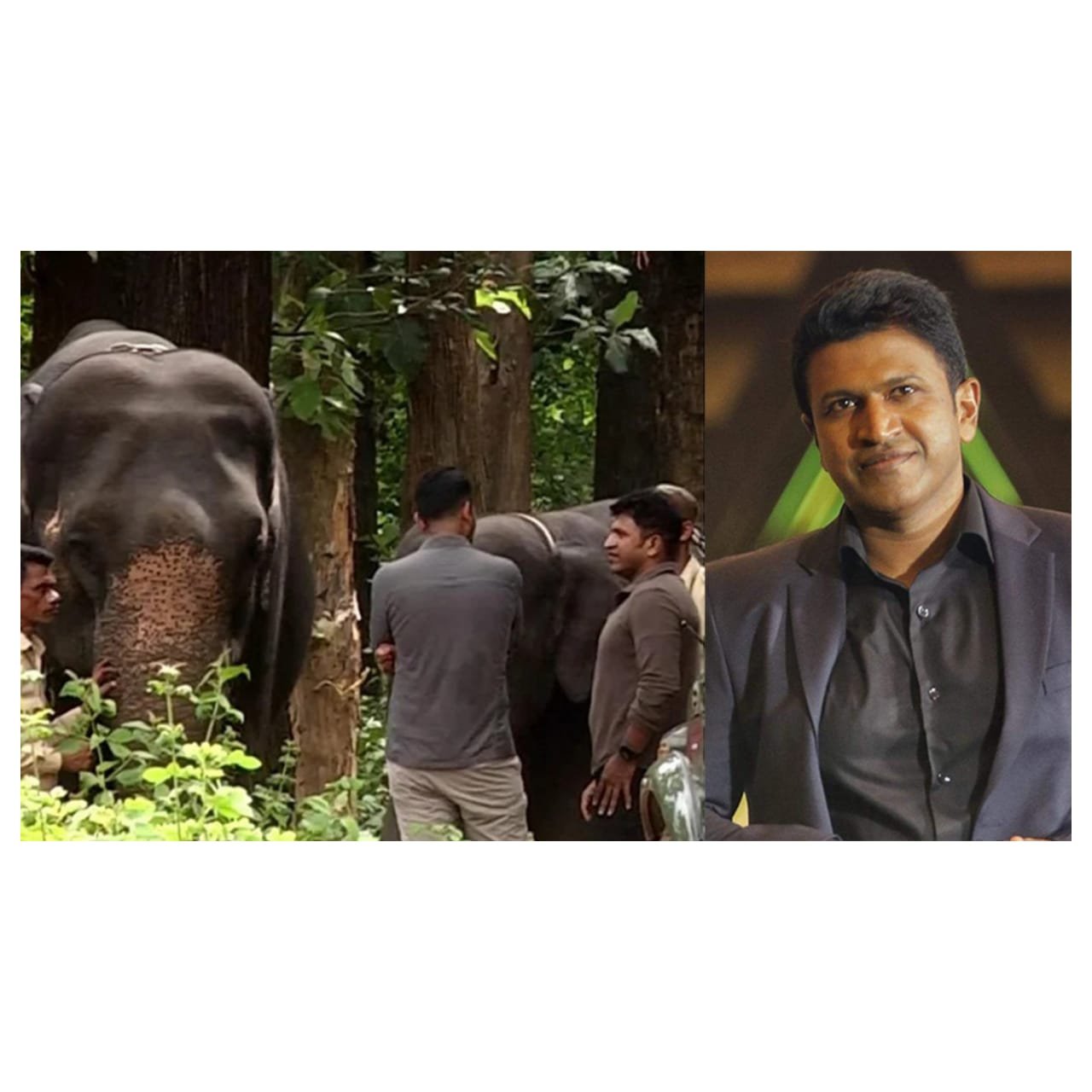 ಮರಿ ಆನೆಗೆ ‘ಪುನೀತ್ ರಾಜಕುಮಾರ್’ ಹೆಸರಿಟ್ಟ ಅರಣ್ಯ ಇಲಾಖೆ ಅಧಿಕಾರಿಗಳು!