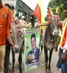 ಅಪ್ಪು ಸಮಾಧಿಯನ್ನು ನೋಡಲು ಎತ್ತುಗಳೊಂದಿಗೆ ಆಗಮಿಸಿದ ಅಭಿಮಾನಿ!