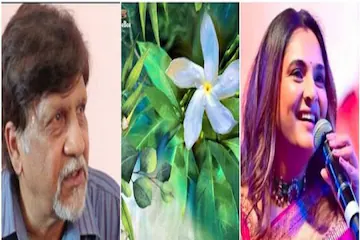 ಸಿಂಗ್ ಬಾಬು ವಿರುದ್ಧ ಗೆಲವು ಸಾಧಿಸಿದ ರಮ್ಯಾ !